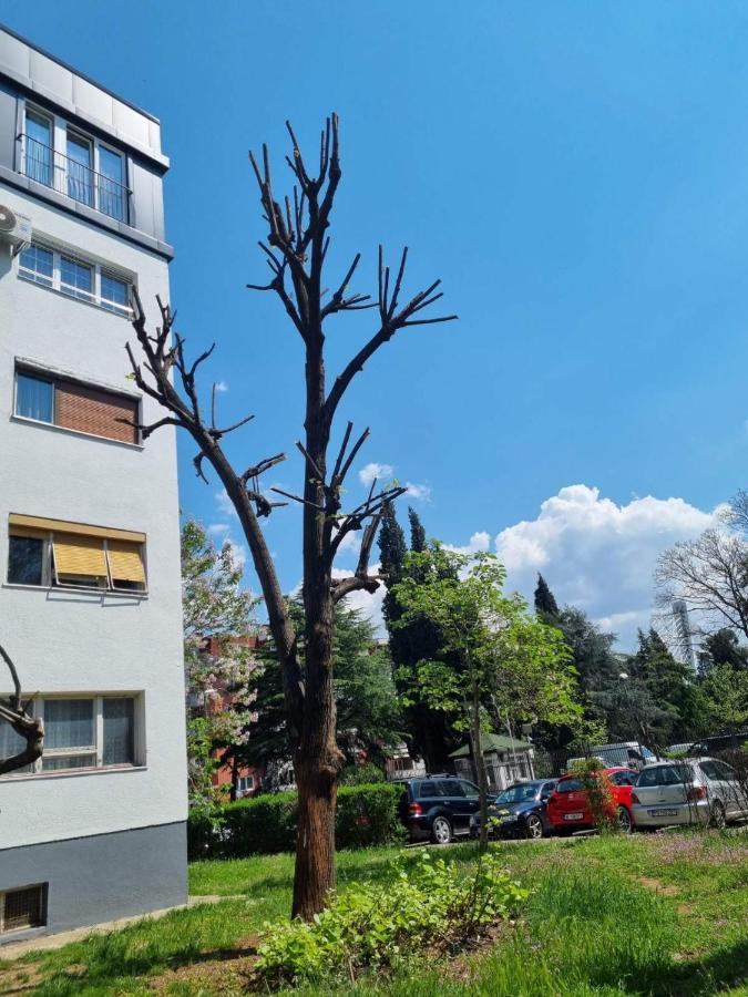 Ferienwohnung Atelje Podgorica Exterior foto