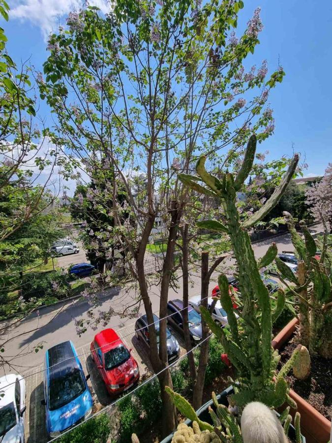 Ferienwohnung Atelje Podgorica Exterior foto